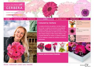 Colouredbygerbera