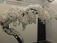 Un arbre de branches de d'Orchidées Phalaenopsis blanches