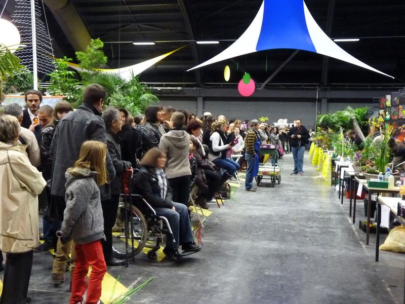 Interflora-CER-spectateurs_01