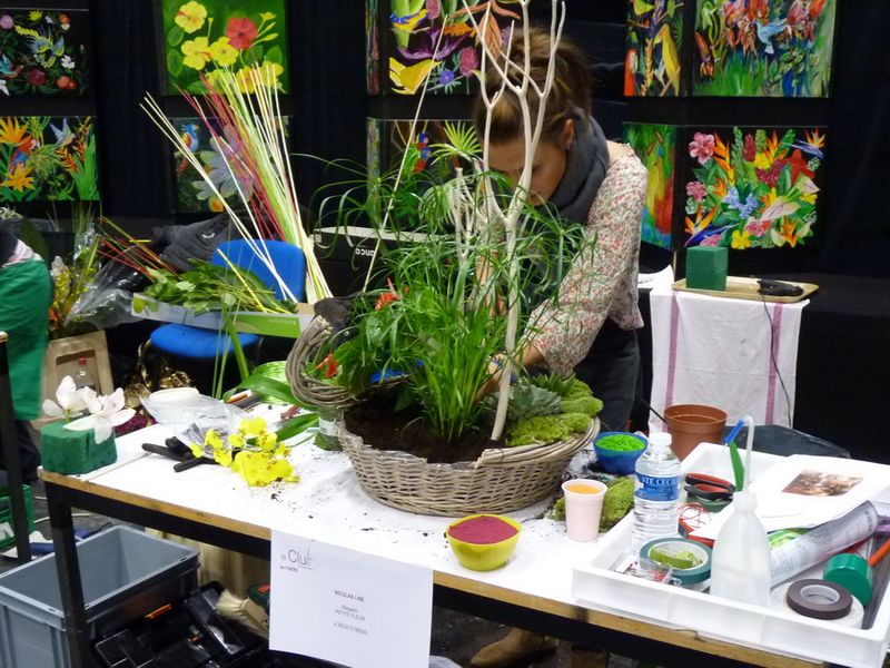 Interflora-CER-panier-plantes_04