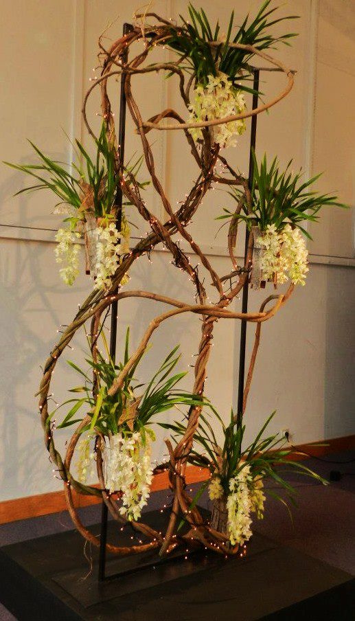 Cymbidium cascade_03