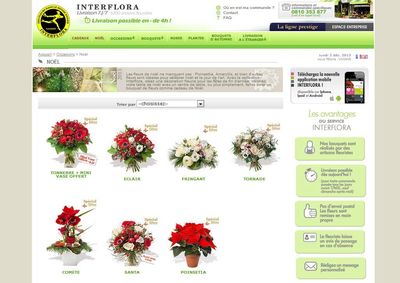 Interflora-noel-2013