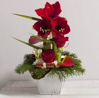 Interflora-noel-comete