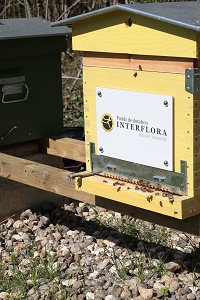 Interflora-dotation-ruche-2