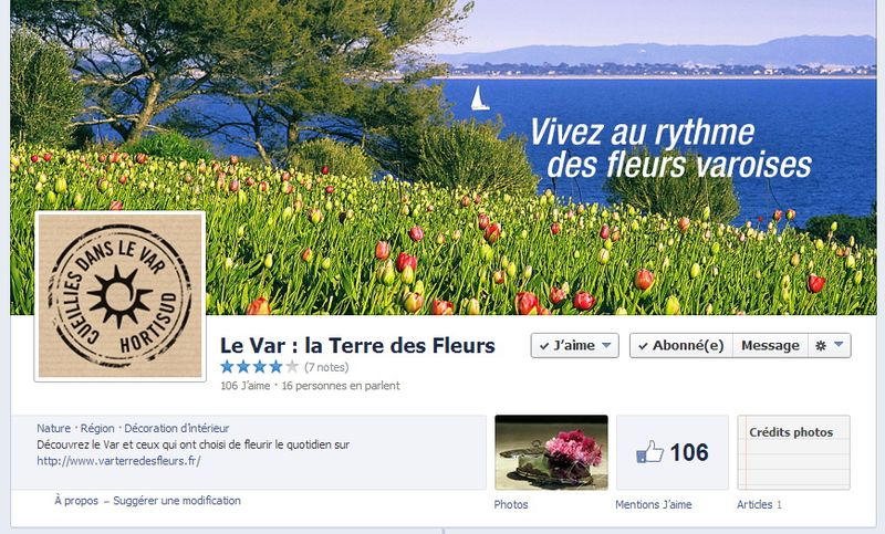 Fleurs-Var-FB