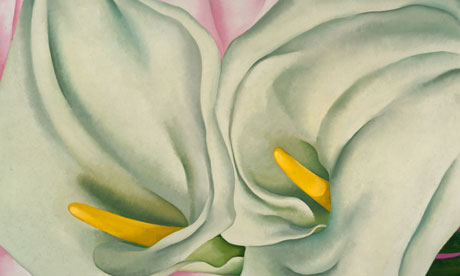 Two-Calla-Lillies-on-Pink-Georgia O ‘Keeﬀe