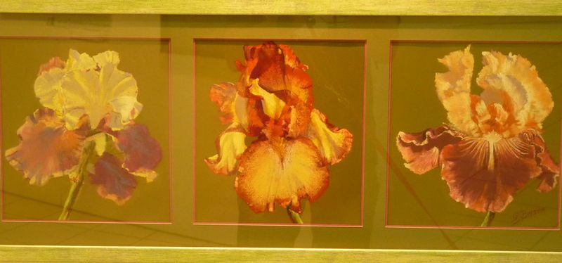 Fleur-pastel_Franck-Bonnaire_1