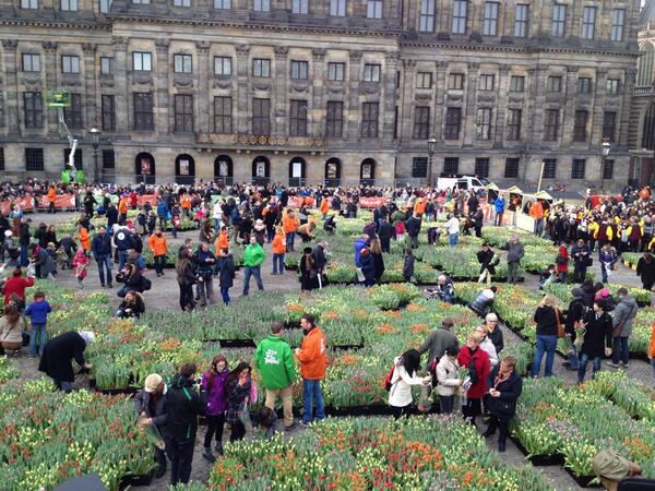 Journée tulipes