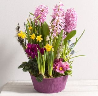Interflora fête le printemps - Le pouvoir des fleurs