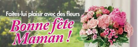 Paroles de fleurs