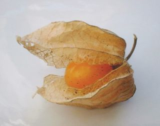 Physalis-fruit