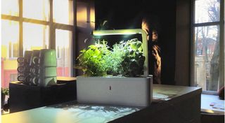 Jardiniere kickstarter