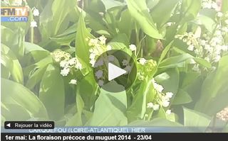 Vidéo muguet Nantes