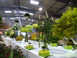 Interflora-Nantes_07