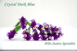 Statice-crystal_dark_blue