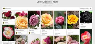 Interflora-roses-pinterest