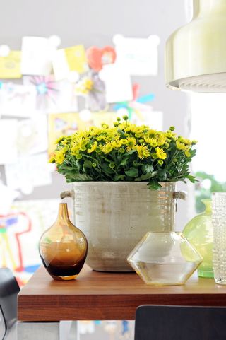 Chrysantheme_OHF_03