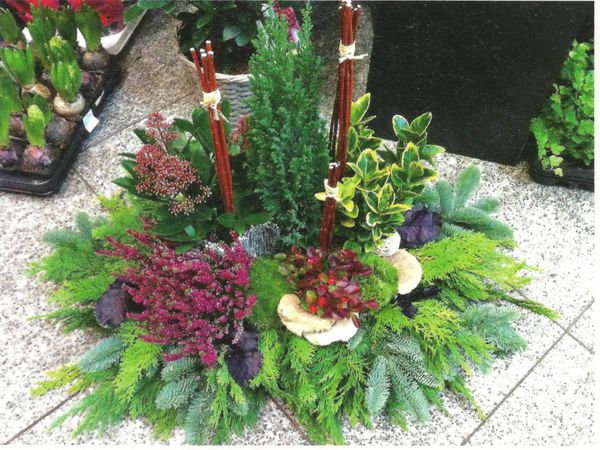 Plantes Cimetière Qui Ne Gèle Pas Qu'allez vous mettre sur la tombe de vos proches cette année pour la