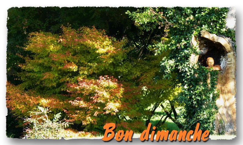 Dimanche automne