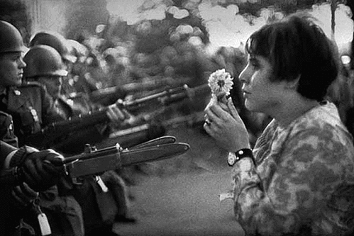 Fleur au fusil paix