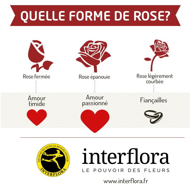 Interflora St valentin roses 3