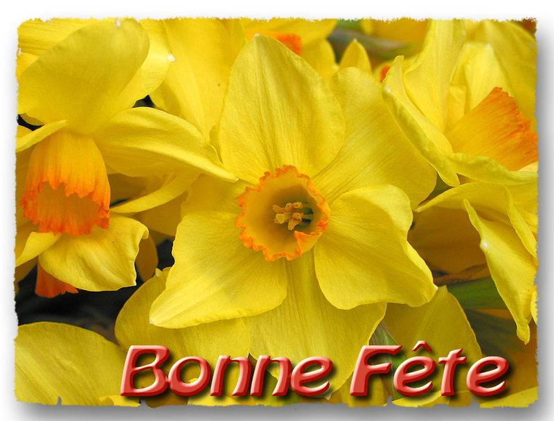 Bonne fête grand-mère