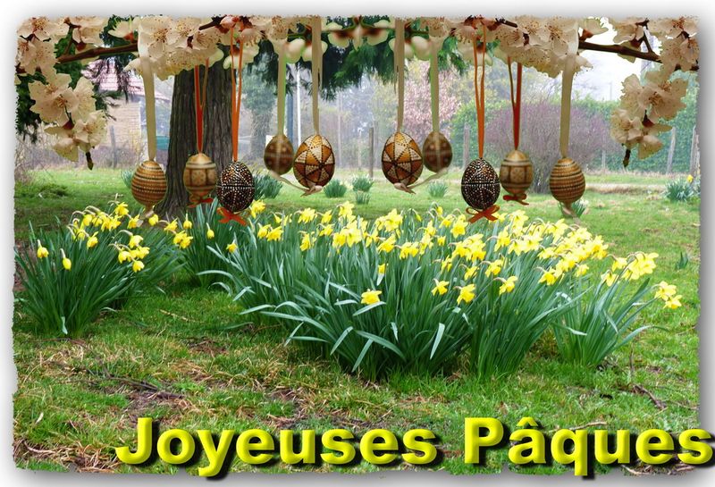 Paques jonquilles 2