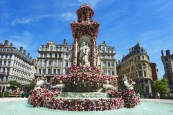 Lyon festval des roses place des Jacobins