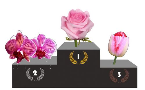 Podium fleurs 1