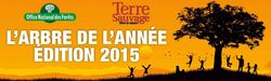 Arbre de l'annee 2015