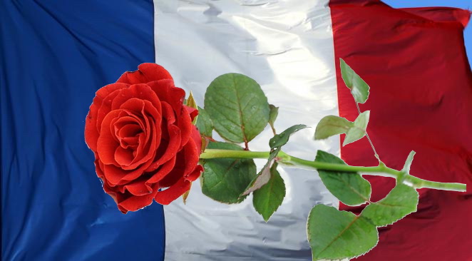 Drapeau avec rose rouge