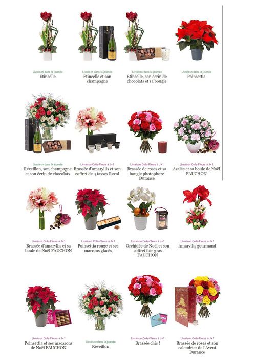 Interflora noel 2015 B