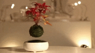 Air-bonsai-gif-1