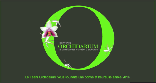 Orchidarium site