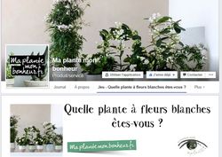 Ma plante mon bonheur 01