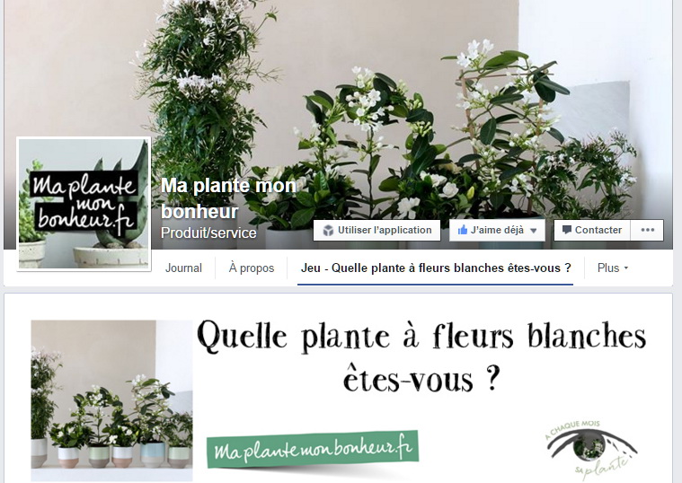 Ma plante mon bonheur 01