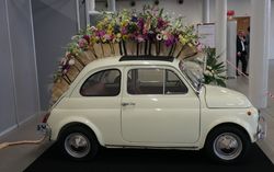 Coupe europa fiat 500