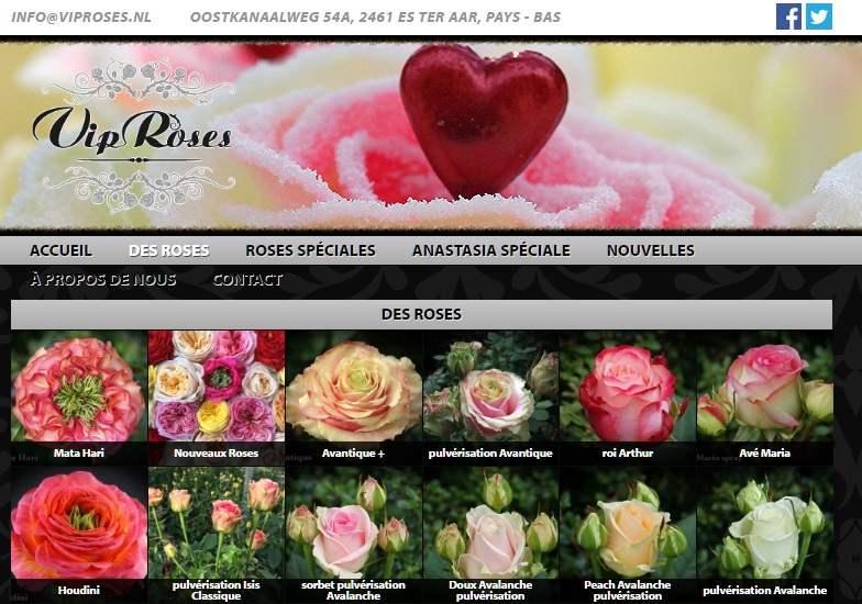 Vip roses site