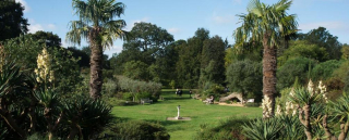 Jardin Kew 2