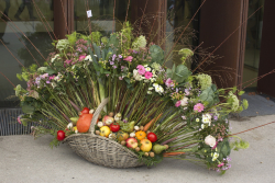 Gagnant épreuve CDFF 2016 Panier du jardinier Sébastien Chol