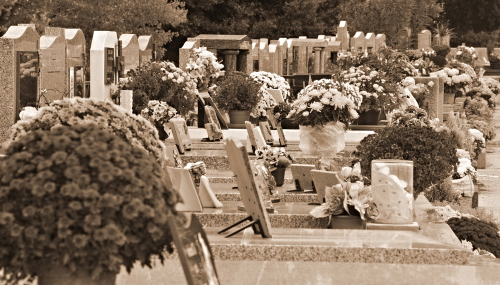 Cimetiere 3