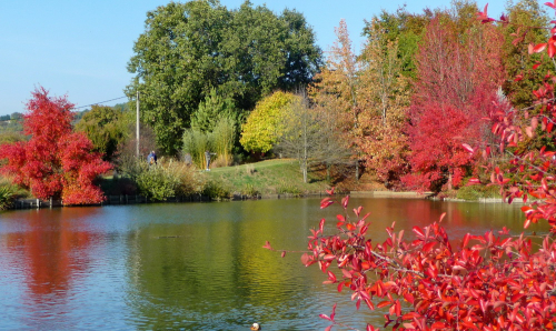 Jardin du bois marquis 1