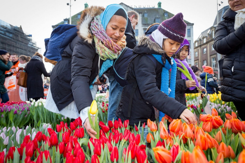 Fete tulipes