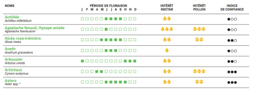 Plantes méllifères_annuelles liste