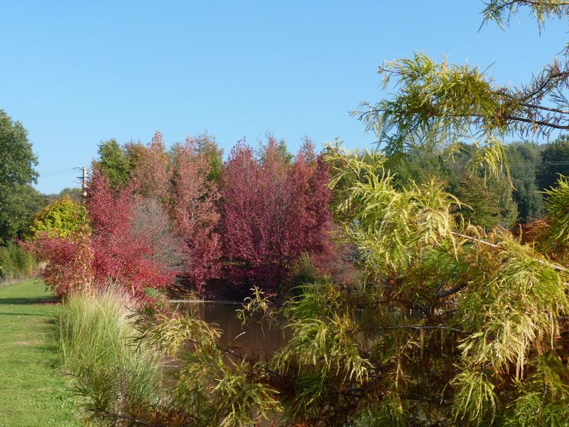 Jardin du bois marquis C peyron -01