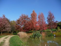 Jardin du bois marquis C peyron -06