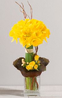 Jonquilles interflora