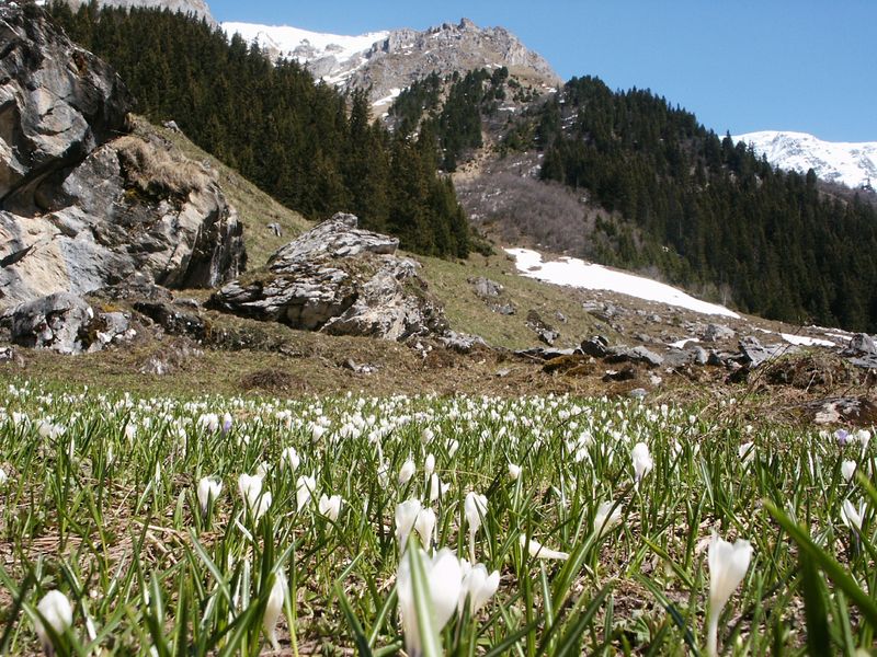 Printemps en Vanoise Joel Bruffin