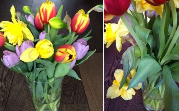 Évitez de mélanger des tulipes et des jonquilles dans le même vase - Le  pouvoir des fleurs