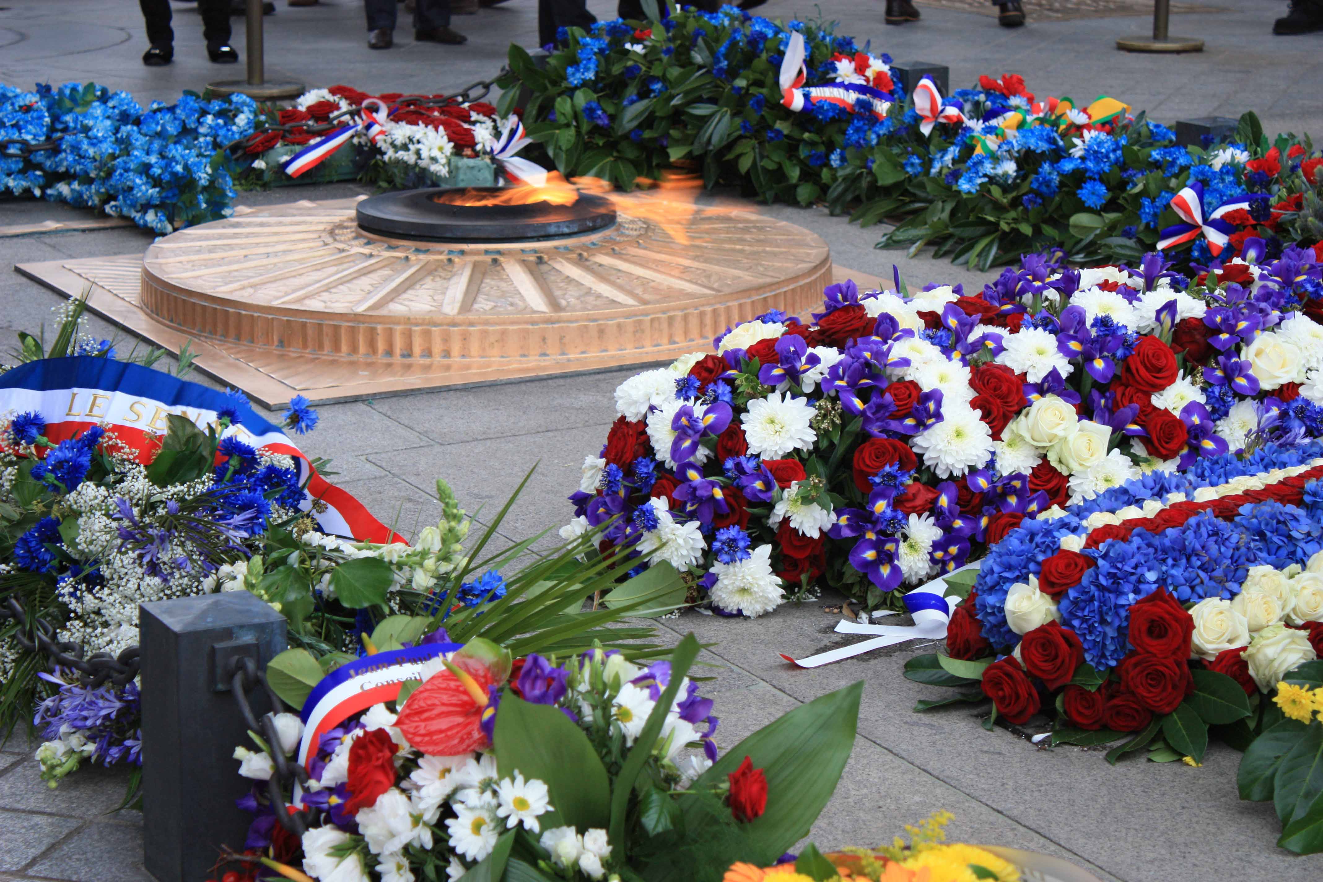 Aujourd Hui Nous Celebrons L Armistice Du 11 Novembre 1918 Le Pouvoir Des Fleurs